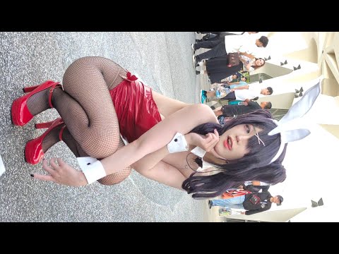 PF44 Cosplay主题精选 / 游戏«主播女孩重度依赖»角色篇(兔女郎版) / CN: 浅尾拓+鸡排 / 台北花博公园争艳馆户外广场2026.5.16