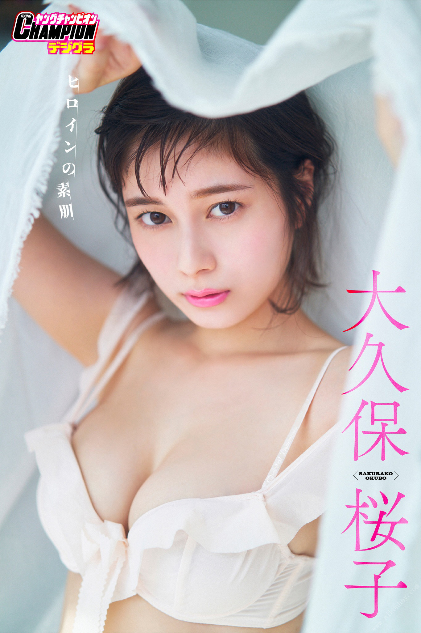 Sakurako Okubo 大久保桜子, ヤングチャンピオンデジグラ ヒロインの素肌 Set.01 No.efb06a